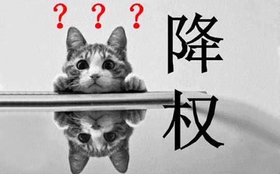 網(wǎng)站被降權(quán)原因